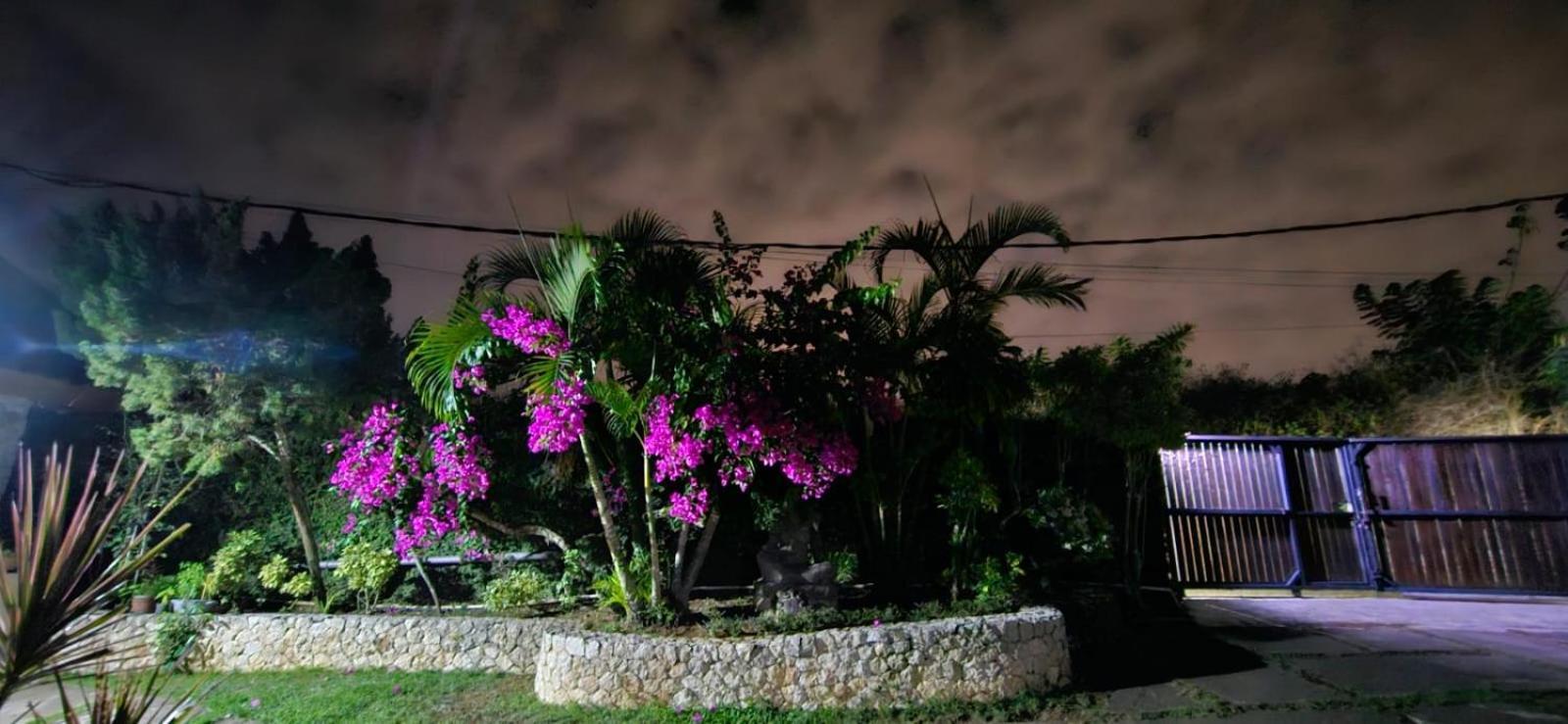Villa Anjing Nusa Dua  Exteriér fotografie
